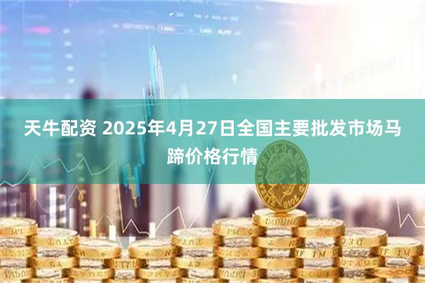 天牛配资 2025年4月27日全国主要批发市场马蹄价格行情